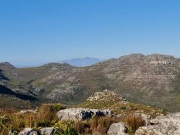 Distance and biodiversity